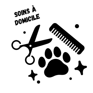 Soin à Domicile